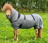 Karlslund Eczeem deken Matti