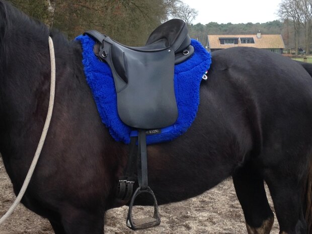 Ghost RomaPiccolo - Burioni Fleece