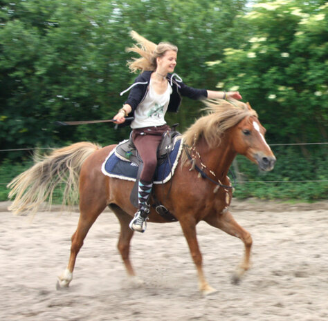 Foto&#039;s van pads onder diverse zadels